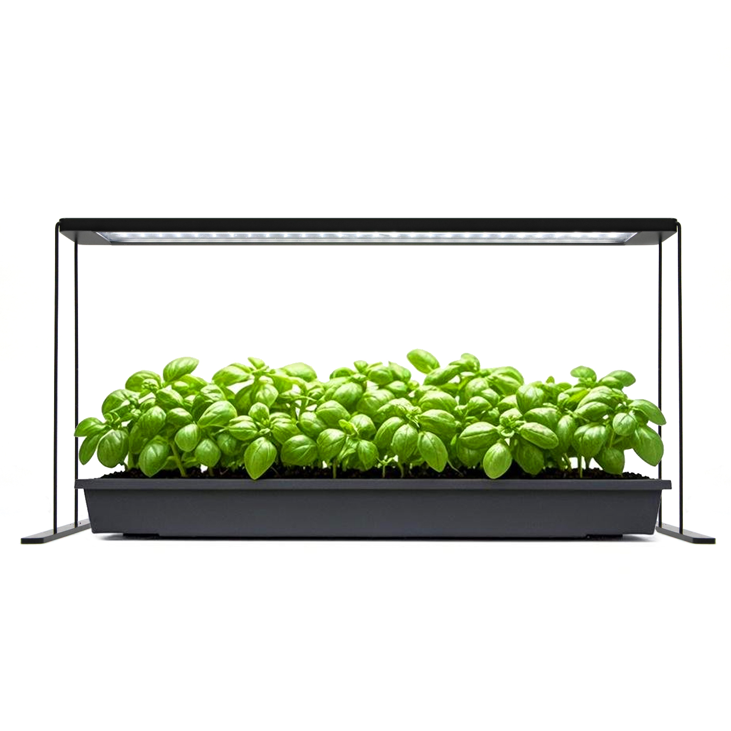 High Efficiency Adjustable Stand Timer Grow Light GRW770picture3