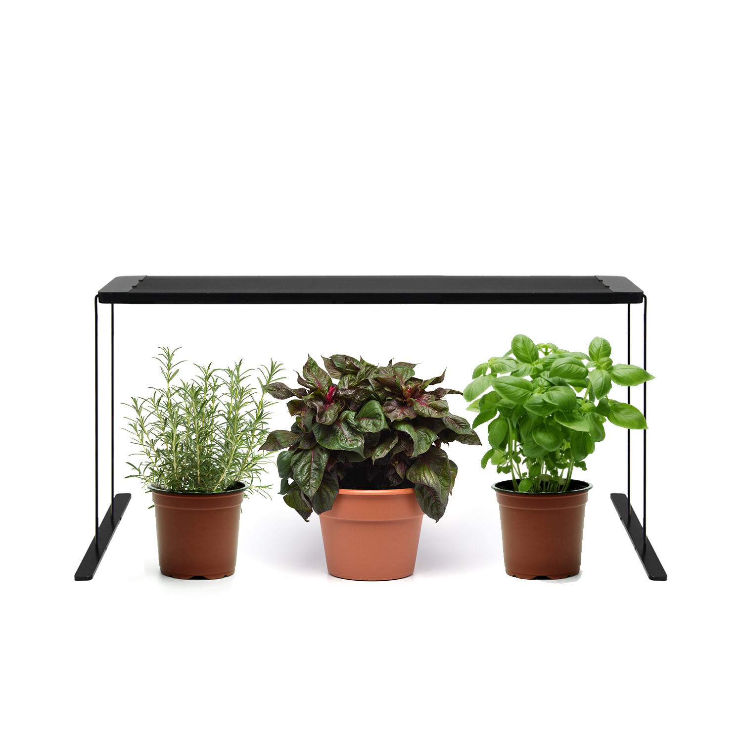 High Efficiency Adjustable Stand Timer Grow Light GRW770picture4