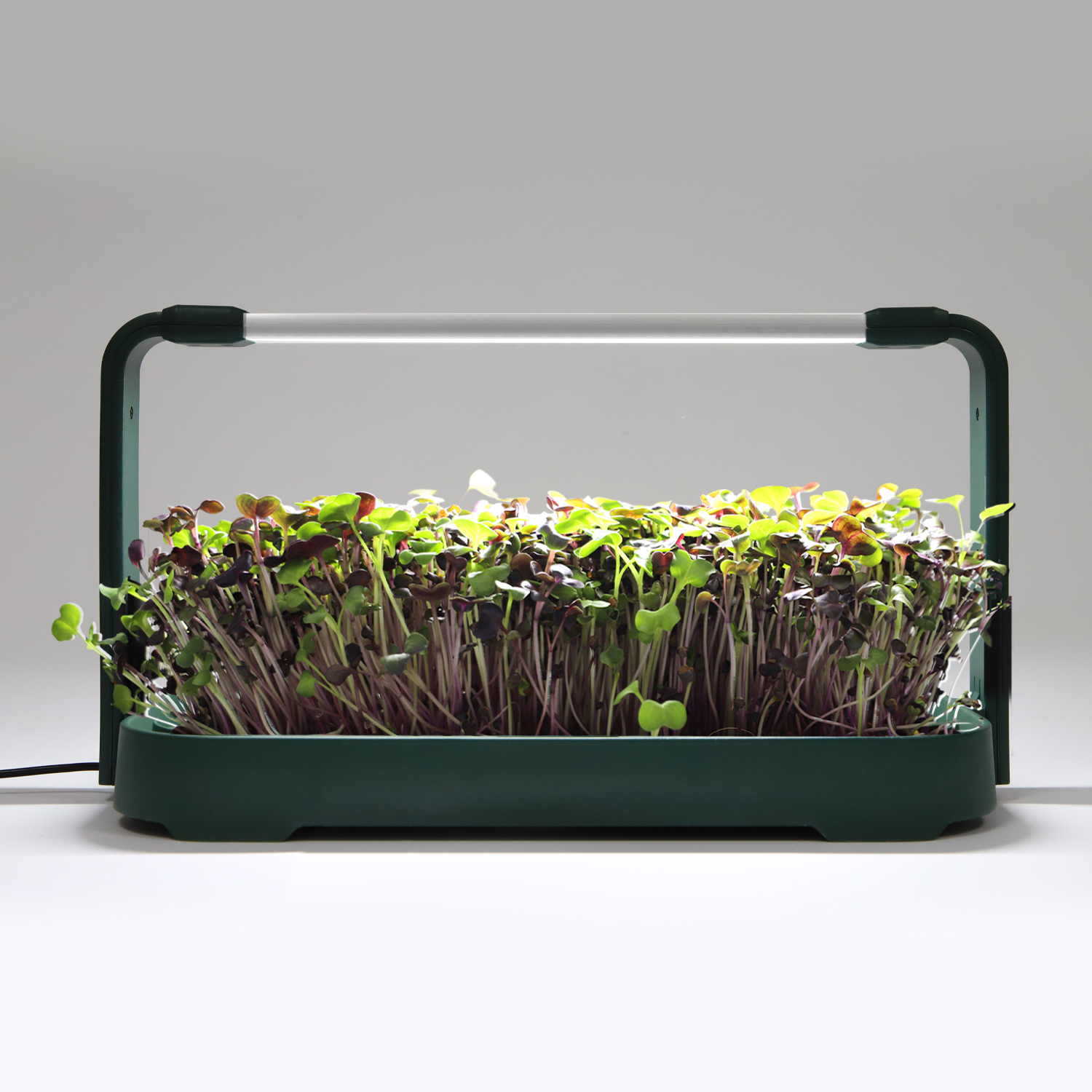 Smart Lettuce Hydroponics Herb Grow Indoor Kit System GRW780picture5