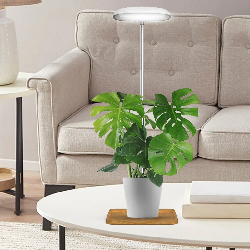 Tabletop LED Plant Grow Lamp for Micro Landscape or Potted Plants Growth GRW900picture5