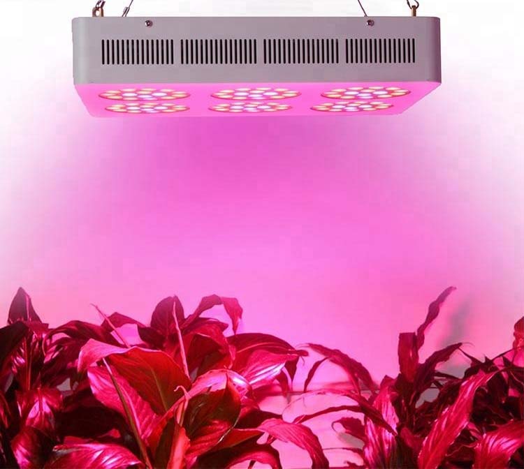LED Aquarium Light AQL2100picture4