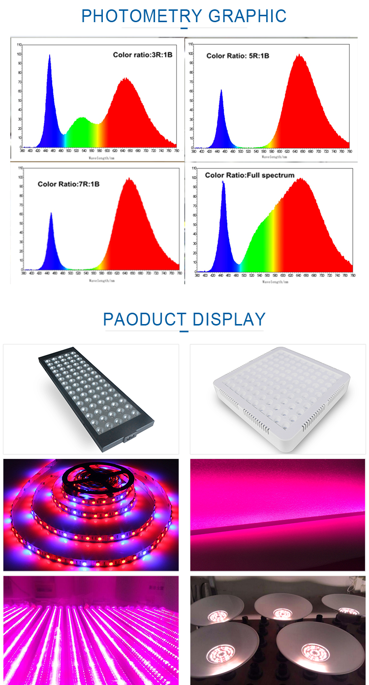 Hot Sell Chinese Rohs Led Aquarium Light