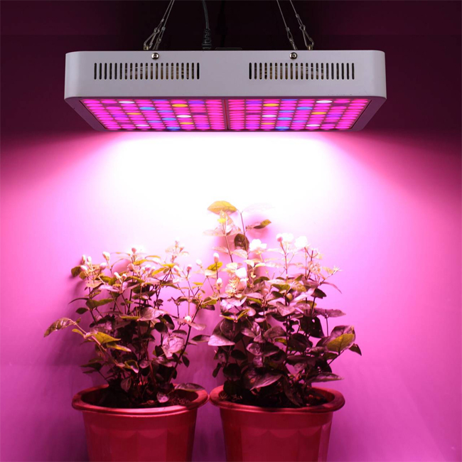 100W 200W 300W 500W Greenhouse Planting Nursery LED Grow Light GRW1100picture5