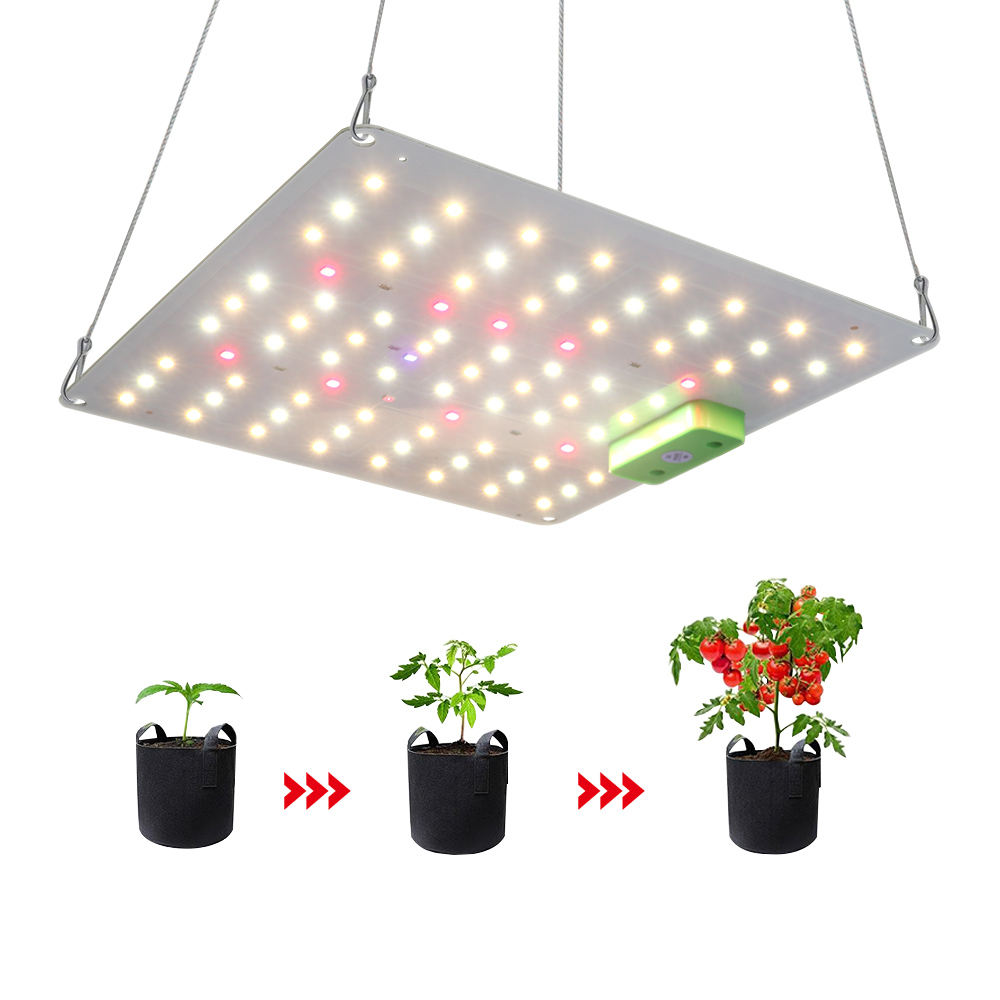 Indoor Plants Full Spectrum Lm301h Lm282B LED Grow Light GRW1500picture5