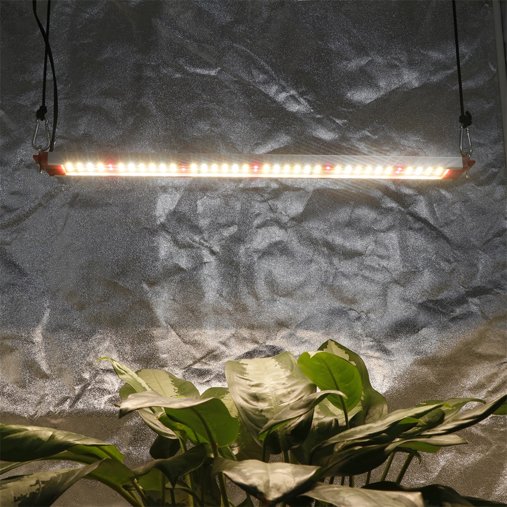 LM283B+50w 3000k 5000k 660nm 730nm LED Grow Light GRW1900picture6