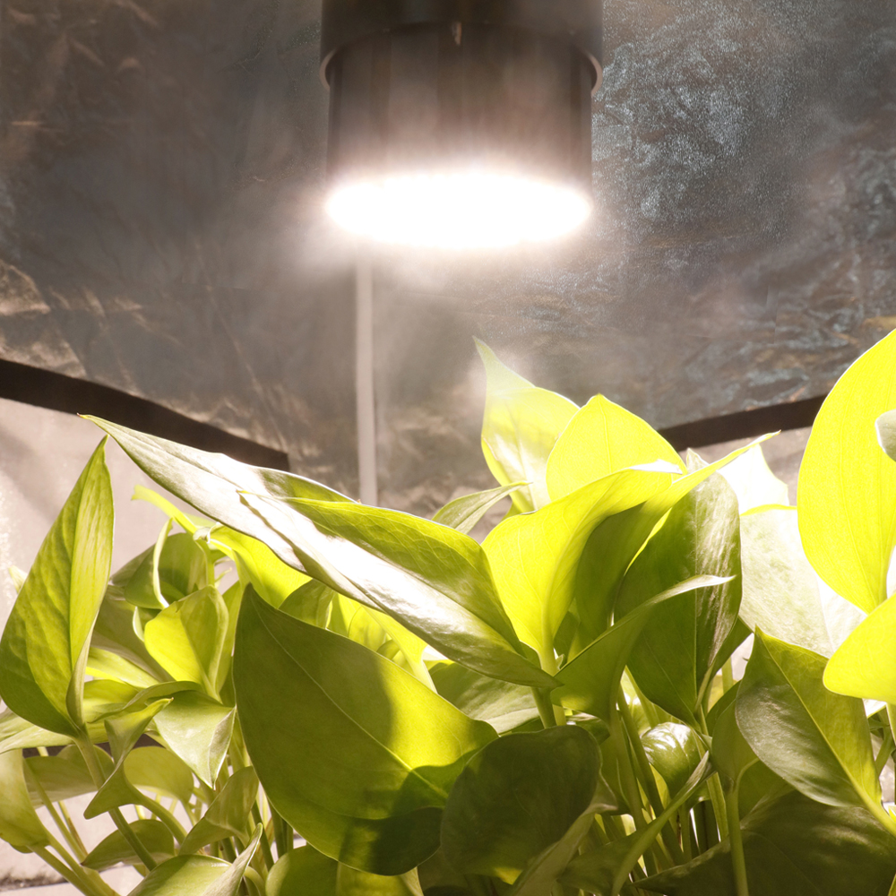 660nm 730nm 365nm 3000k 5000k 150w CRI90 LED Grow Light GRW2000picture6