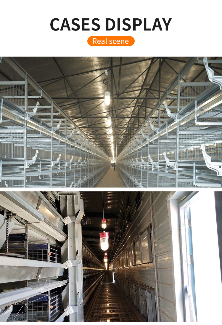 Waterproof Dimmable LED Light for Poultry Farm IP67 Rated for Chicken and Pig House