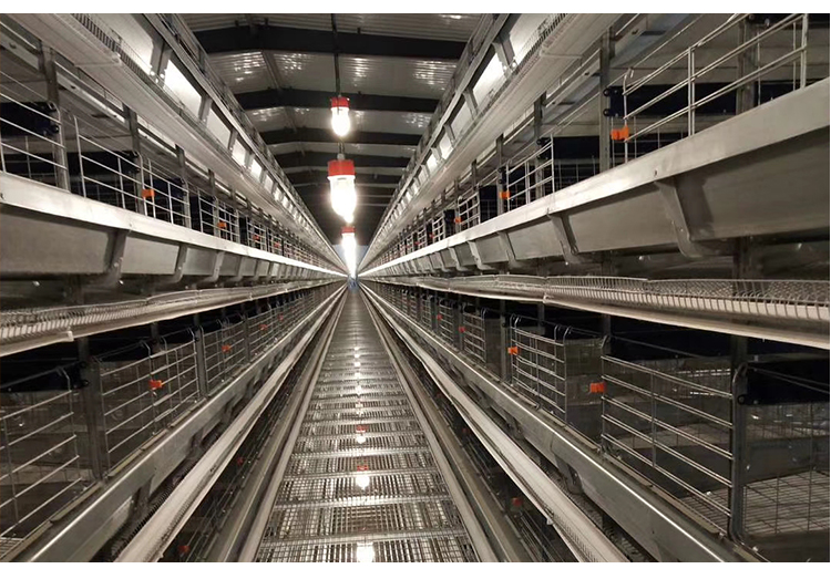 Waterproof Dimmable LED Light for Poultry Farm IP67 Rated for Chicken and Pig House