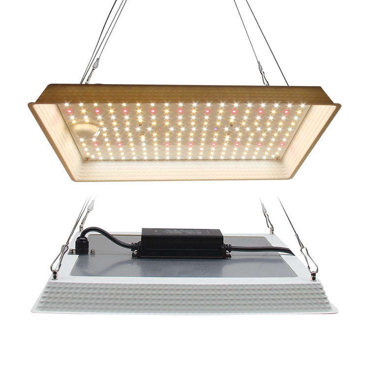 60W LED Quantum Panel Bar 2.5ft X 2.5ft IP65 Waterproof Indoor Plants Grow Light GRW2100picture3