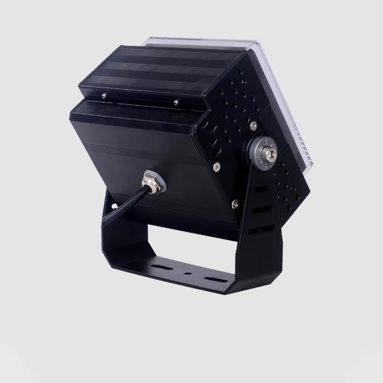 Hotel Garden Outdoor Waterproof IP65 Aluminum Landscape Projector Light LSP5100picture2