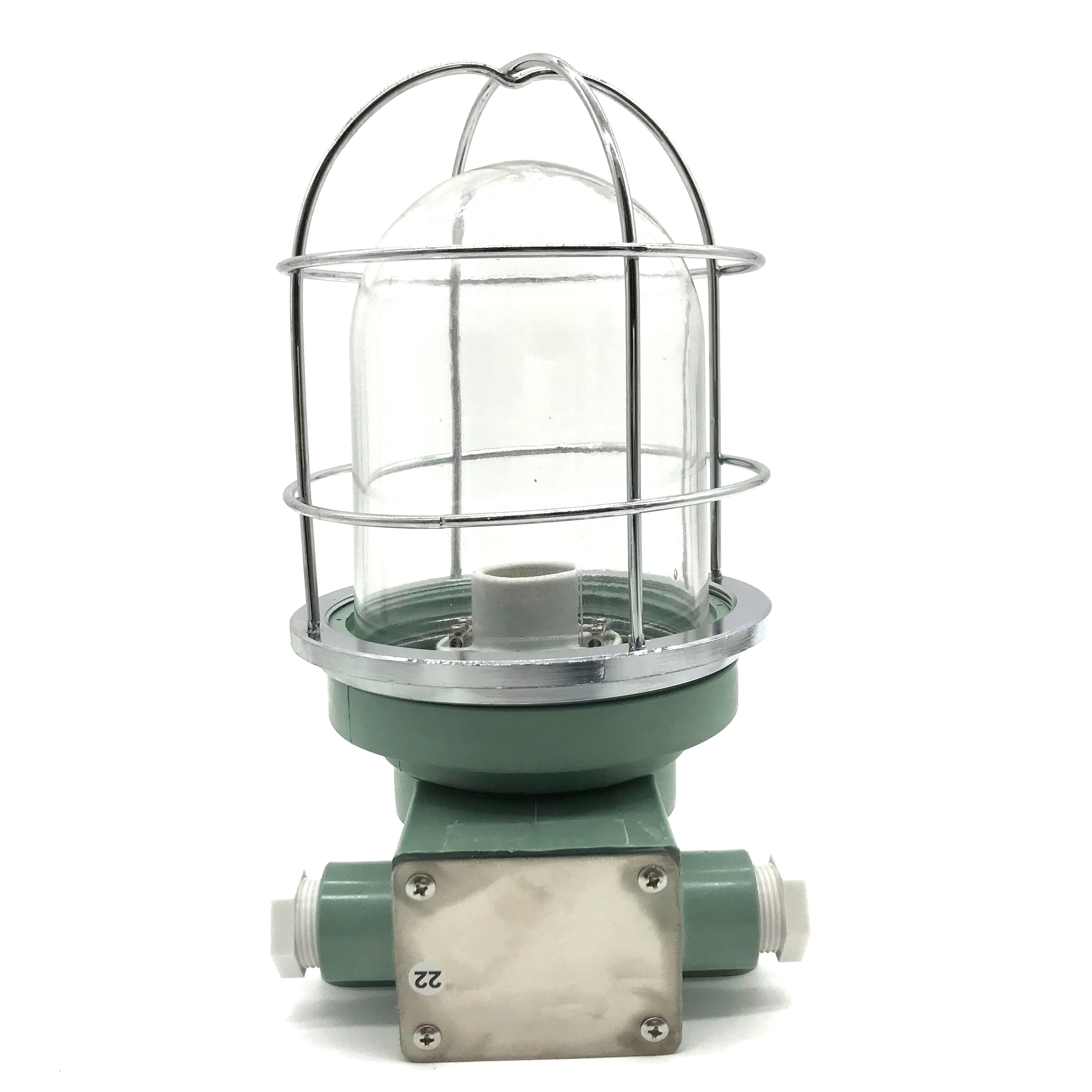 220V 100W Synthetic Resin Outdoor Waterproof Marine Pendant LED Work Light MWL100picture2