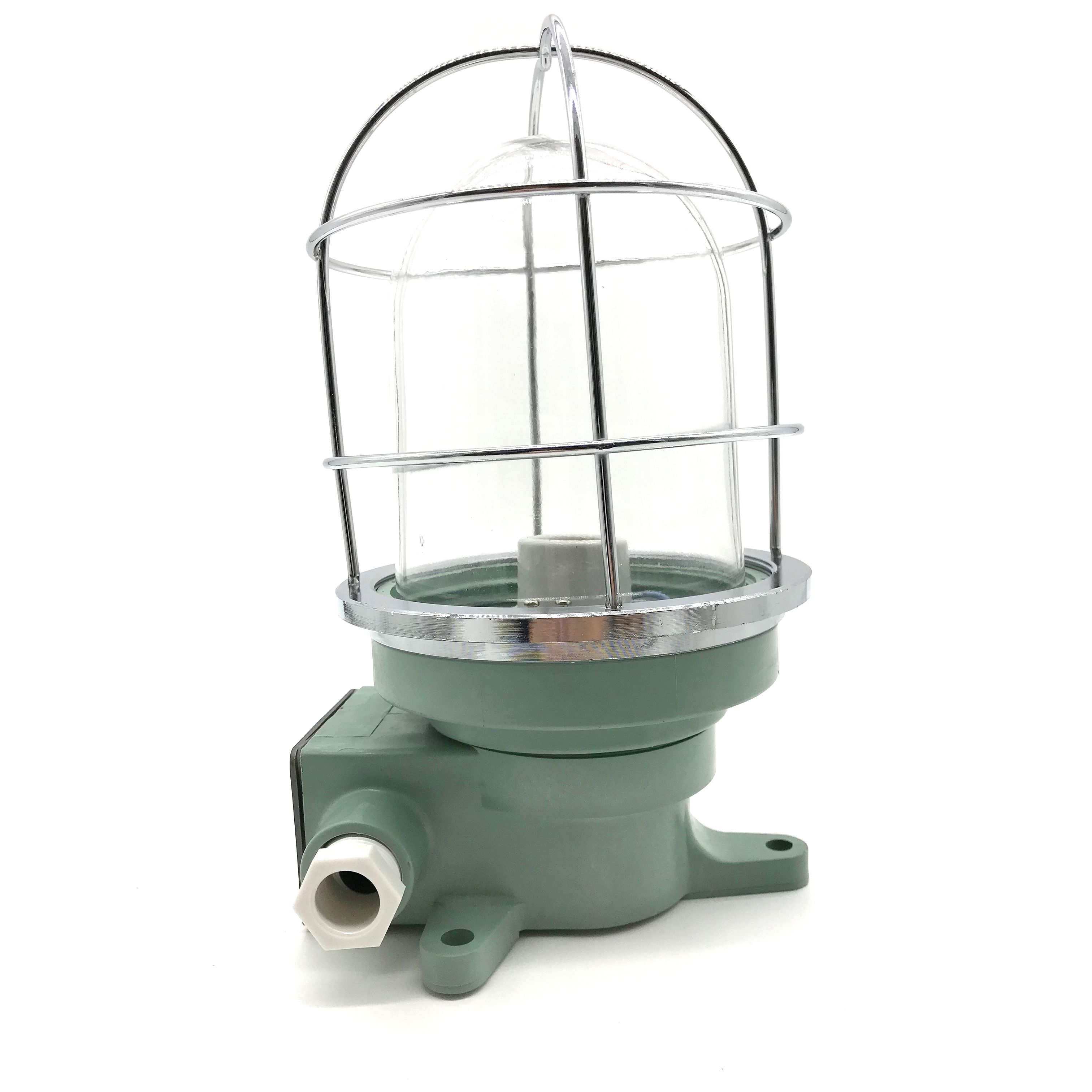 220V 100W Synthetic Resin Outdoor Waterproof Marine Pendant LED Work Light MWL100picture3