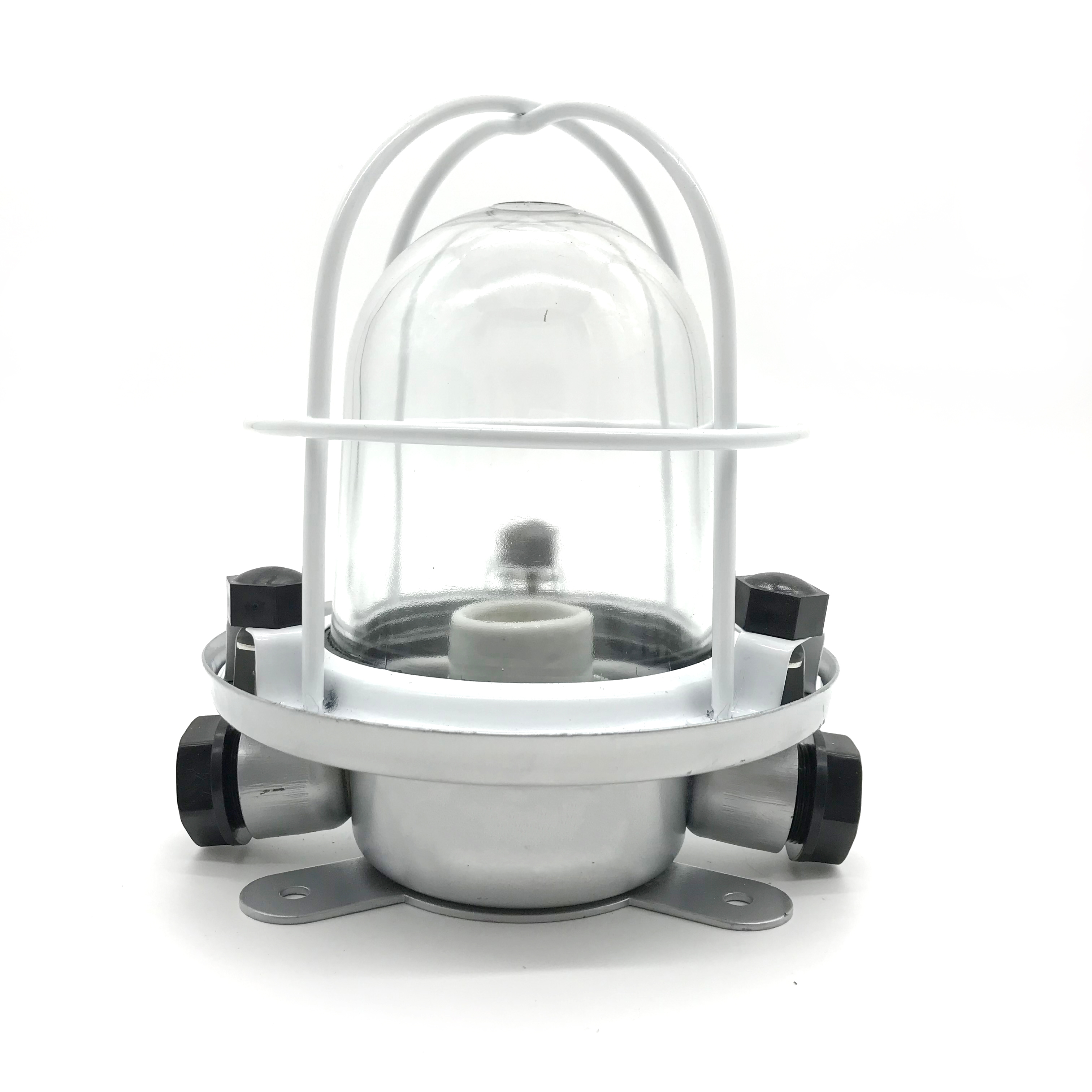 220V 60W IP55 Waterproof Marine Pendant Work Light for Boat MWL300picture2