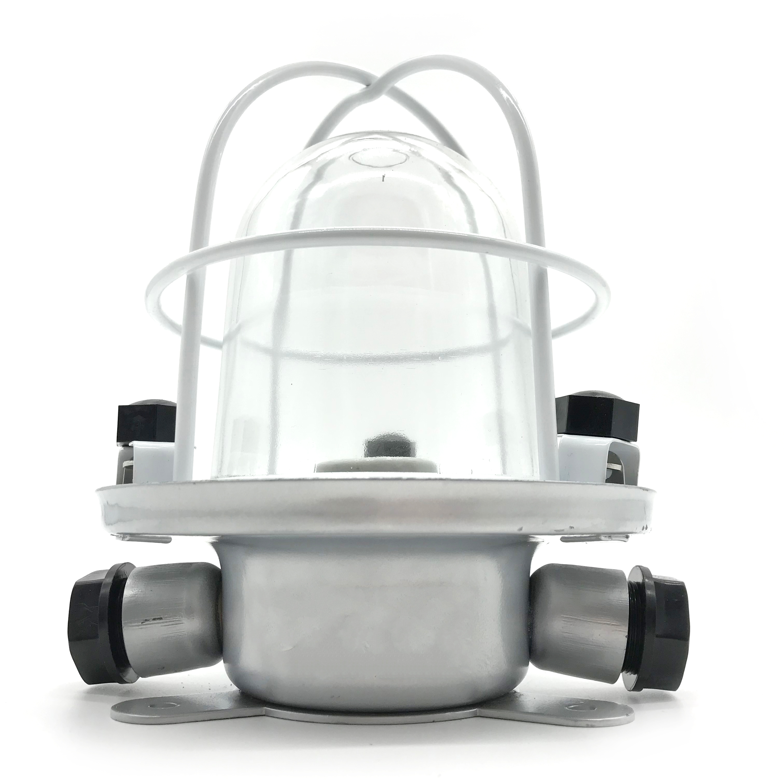 220V 60W IP55 Waterproof Marine Pendant Work Light for Boat MWL300picture3