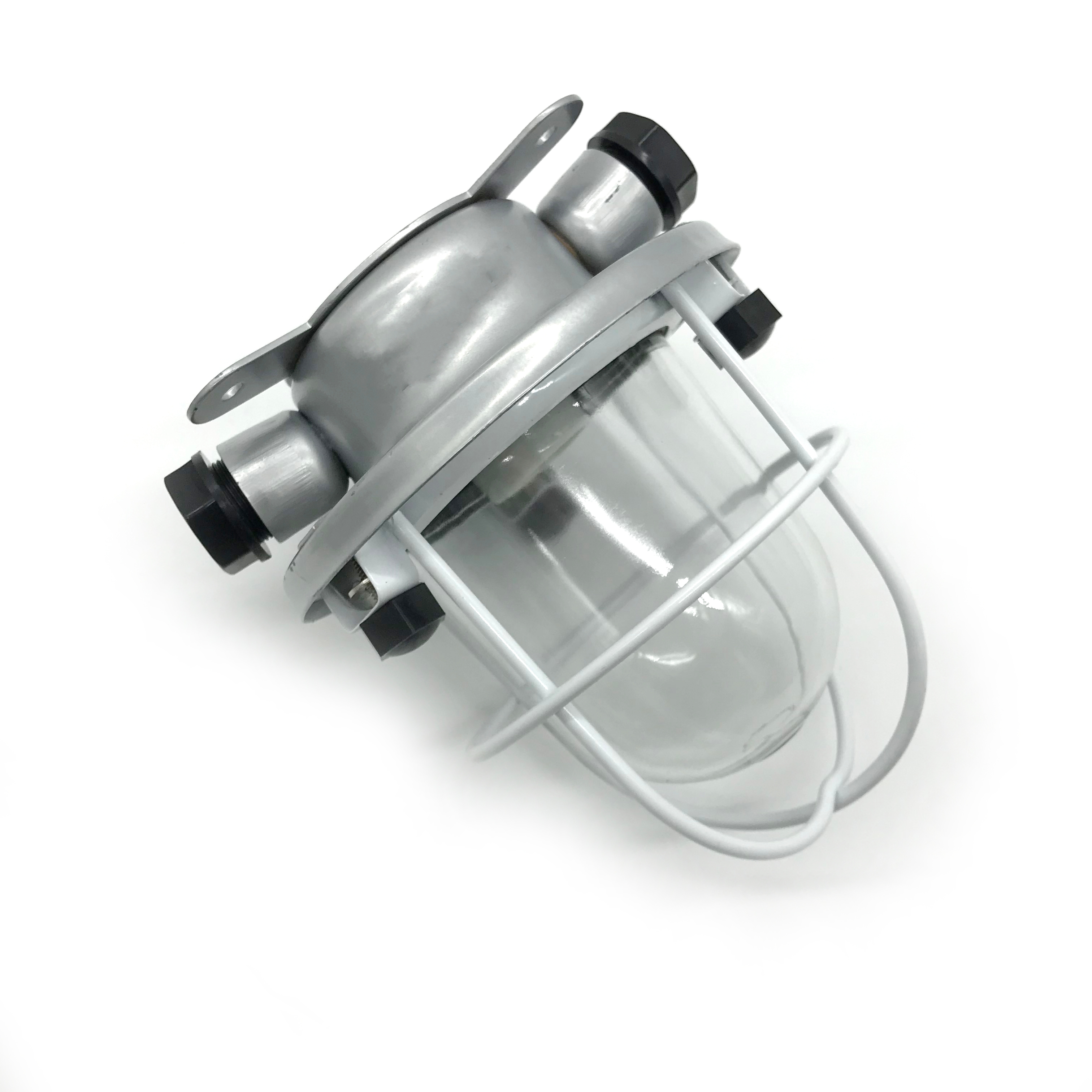 220V 60W IP55 Waterproof Marine Pendant Work Light for Boat MWL300picture4
