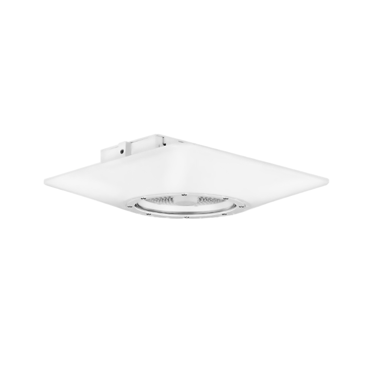 Outdoor Waterproof LED Gas Station Canopy Lights CAN800picture2