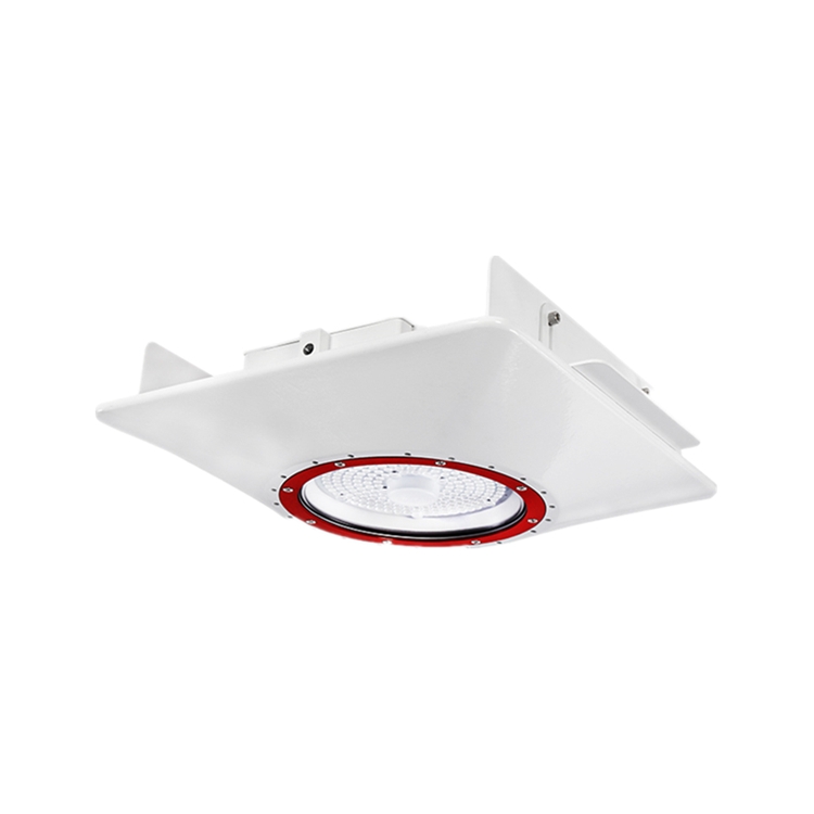 Outdoor Waterproof LED Gas Station Canopy Lights CAN800picture5
