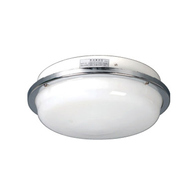 110V 220V Marine Steel Fluorescent Ceiling Light for Boats CL870picture3