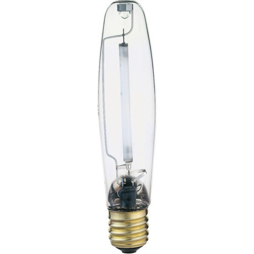 250W E40 High Pressure Sodium Lamp Greenhouse Hydroponics HPS600picture3