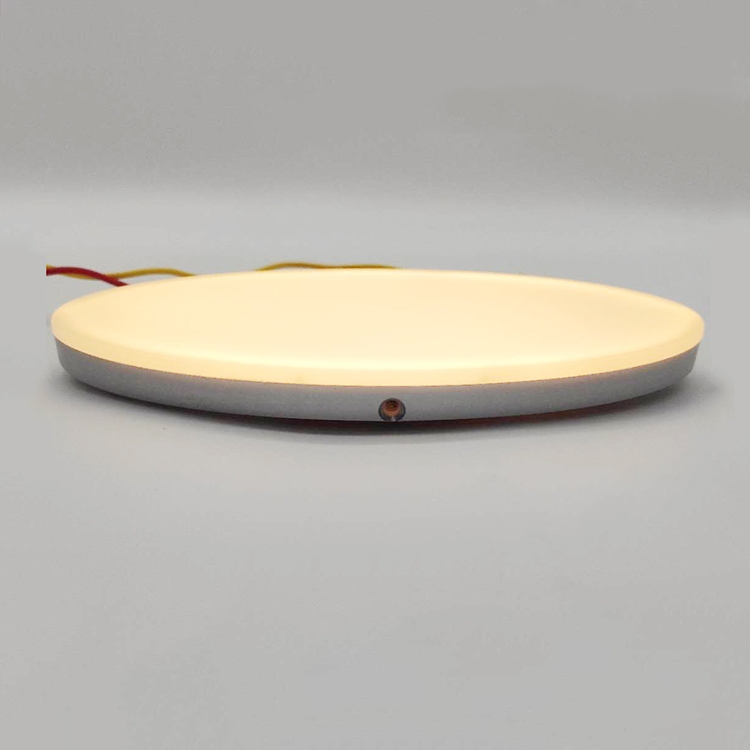 10-30V 400 Lumens White Ceiling Lamp  LED Ceiling Light for RV CL900picture3