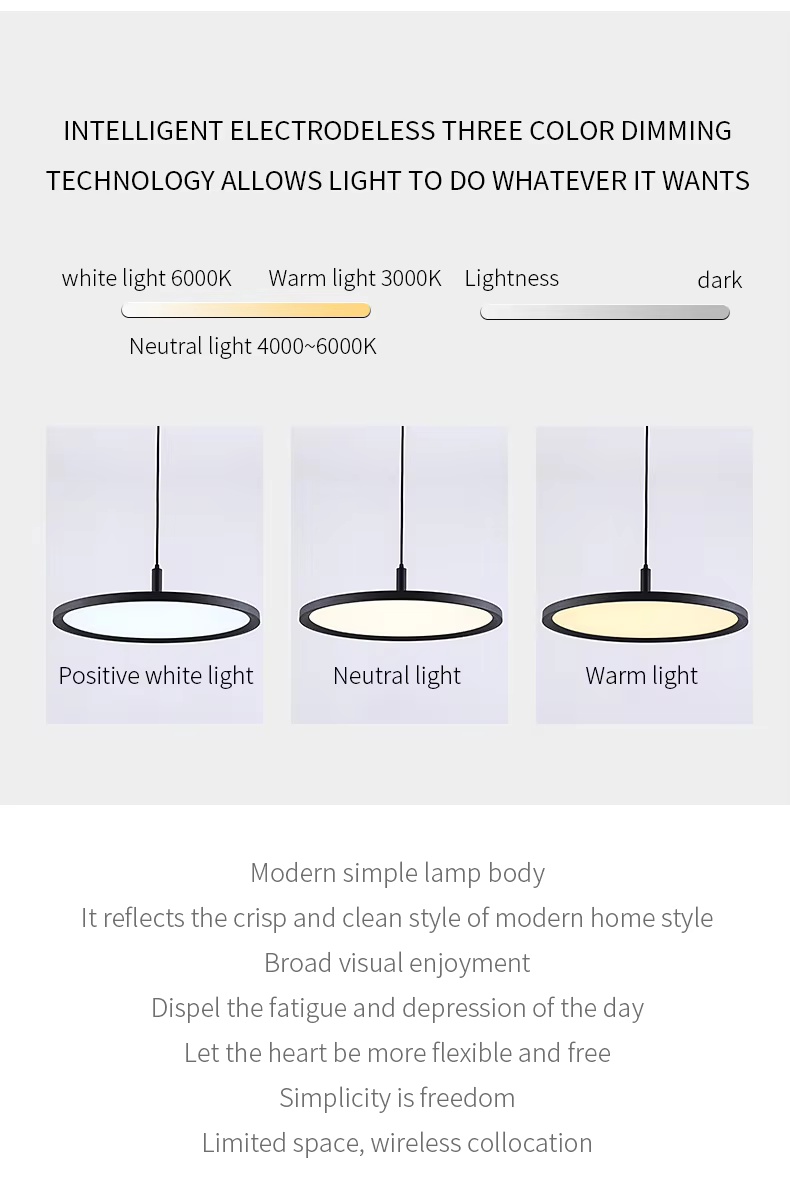 Co<i></i>ntemporary Simple Single LED Circle Pendant Light Warm White Hanging Lamp for Kitchen Restaurant Home Villa Modern Nordic Oval