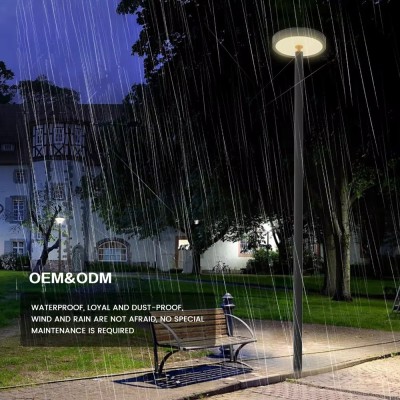 Modern Decorative Pole for Outdoor Use LED Garden Street Light GAR370picture7