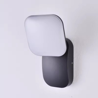 Decorative Aluminum Mounted Adjustable Head LED Wall Lamps WL3700picture7