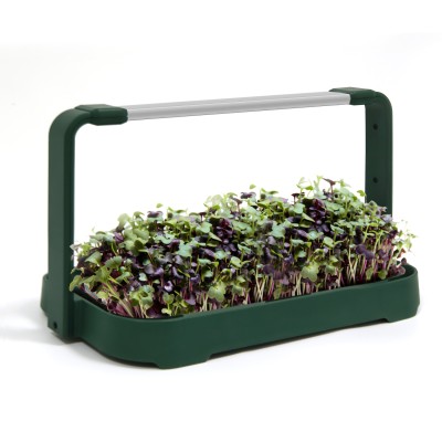 Smart Lettuce Hydroponics Herb Grow Indoor Kit System GRW780picture1