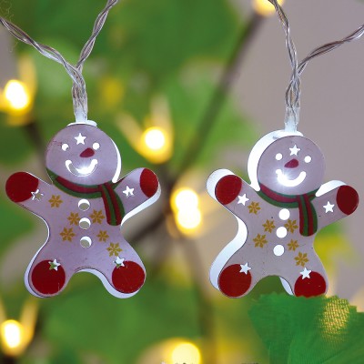 Decorative Outfit Programmable LED Christmas Lights XMS340picture3