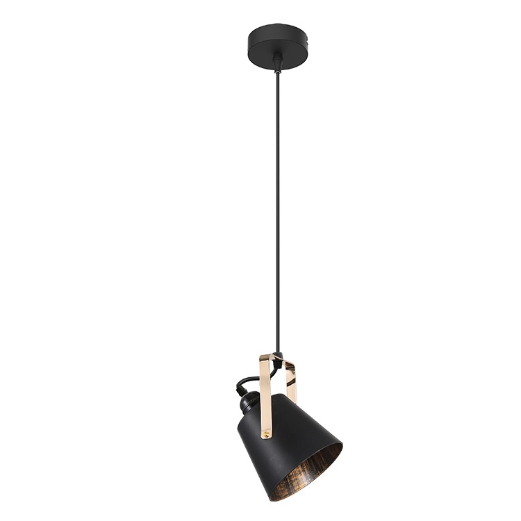 Retro Nordic Adjustable Angle Indoor Decoration E27 Pendant or Wall Lamp WL4100picture3