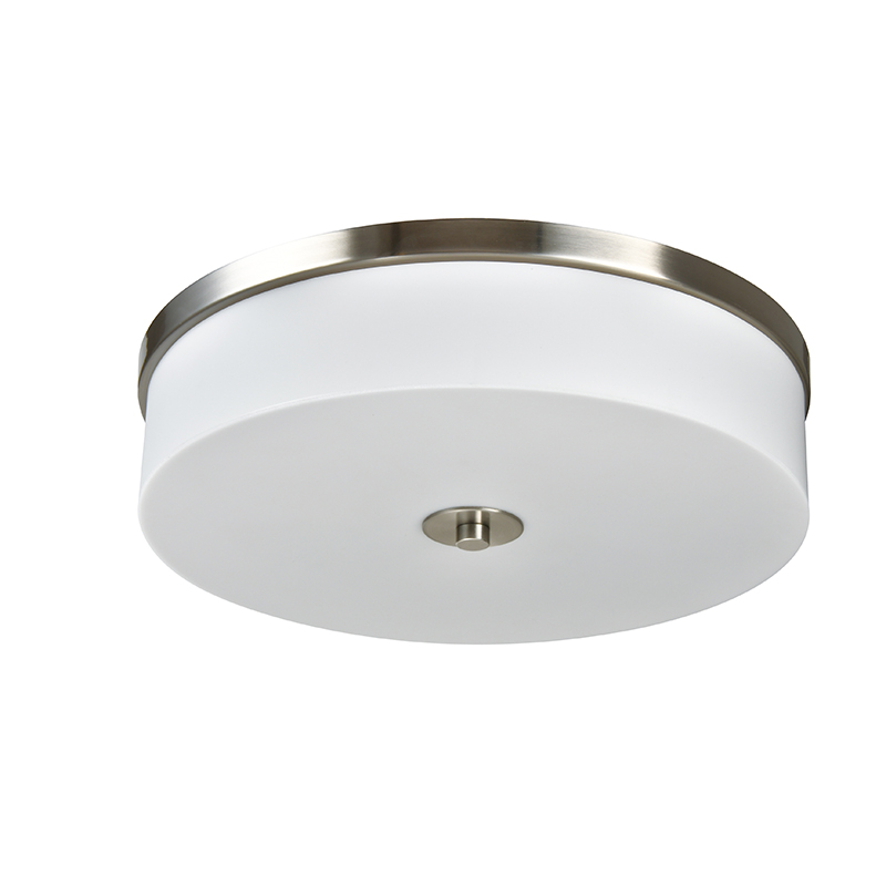 Hotel Projects 16 Inches Brushed Nickel Ceiling Light CL960
