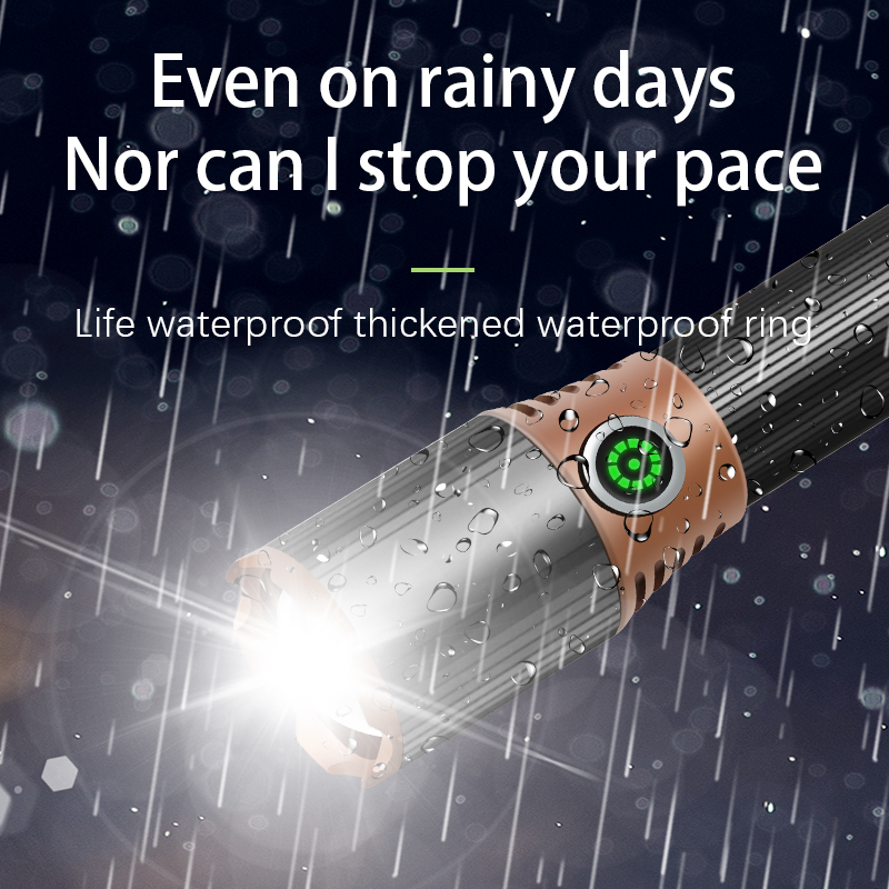 High Lumen Irradiation Stretchable Strong Type-c Charging LED Flashlight FSH460picture5