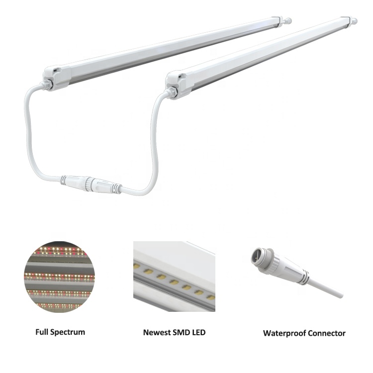 Linkable 2Ft 4Ft 6Ft IP65 90cm 120cm Clone T5 LED Grow Lights GRW970picture2