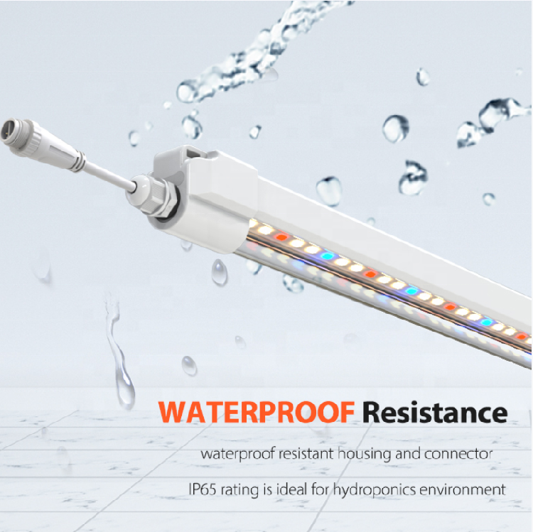 Linkable 2Ft 4Ft 6Ft IP65 90cm 120cm Clone T5 LED Grow Lights GRW970picture3