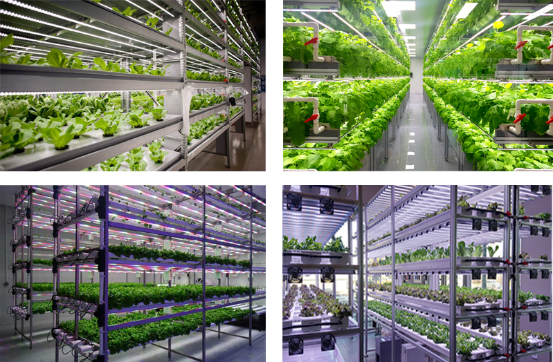 Wholesale l<i></i>inkable 2ft 4ft 6ft Ip65 Waterproof 2<i></i><i></i>' 4<i></i><i></i>'commercial 90cm 120cm Clone T5 Led Grow Light Tube for Indoor Plants