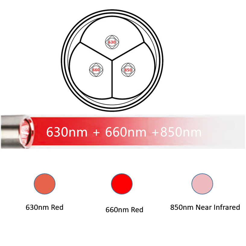 Portable Pain Relief Red Light Therapy Torch Light TRP120picture2