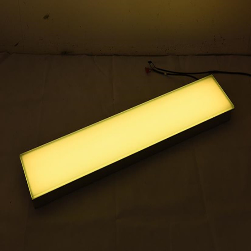 Color Changing Floor Pave Rectangular Ground LED Brick Light BRK110picture4
