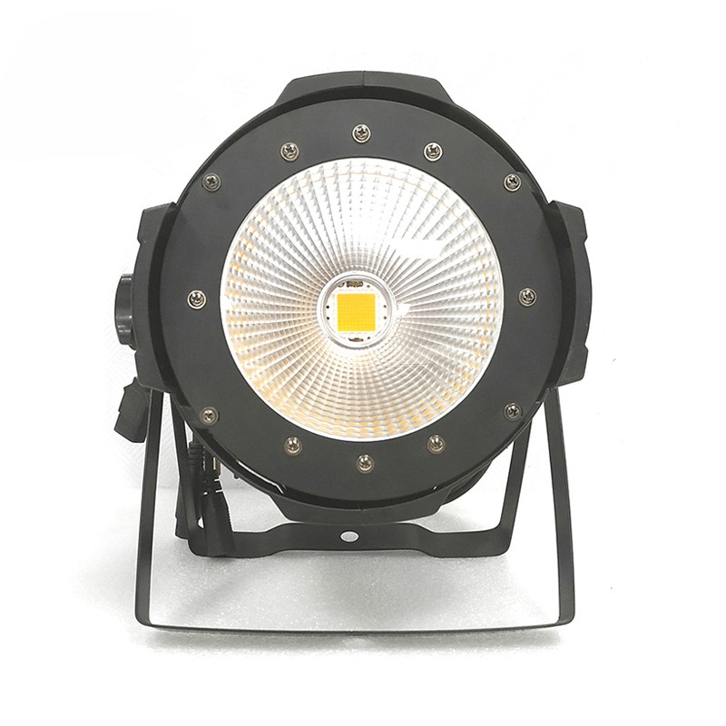100W COB Par Light CW/WW 2in1 for Stage Show SPR190