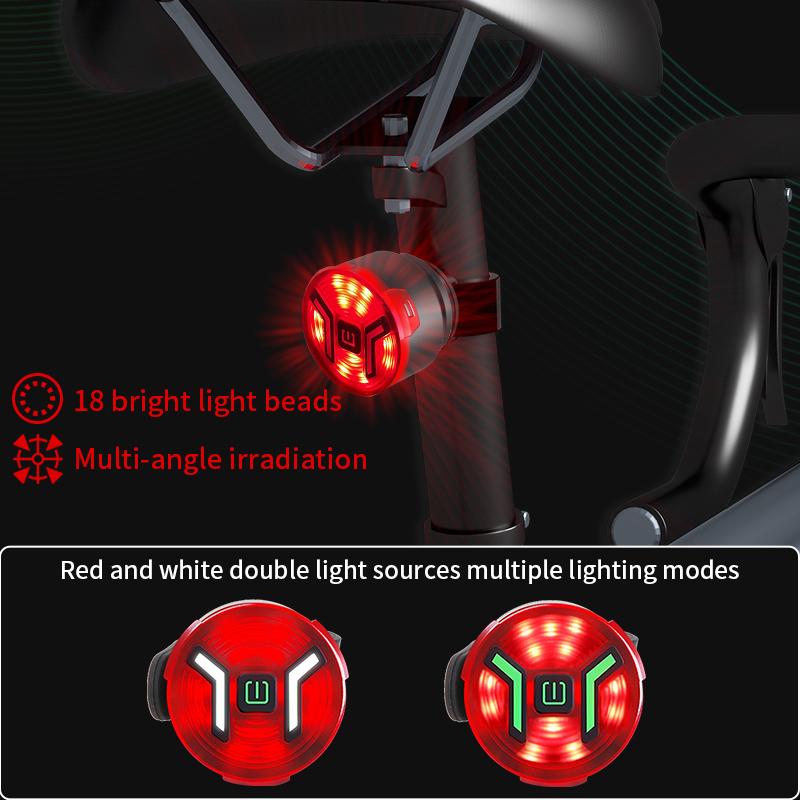USB Rechargeable LED Bike Tail Light BKE220picture6