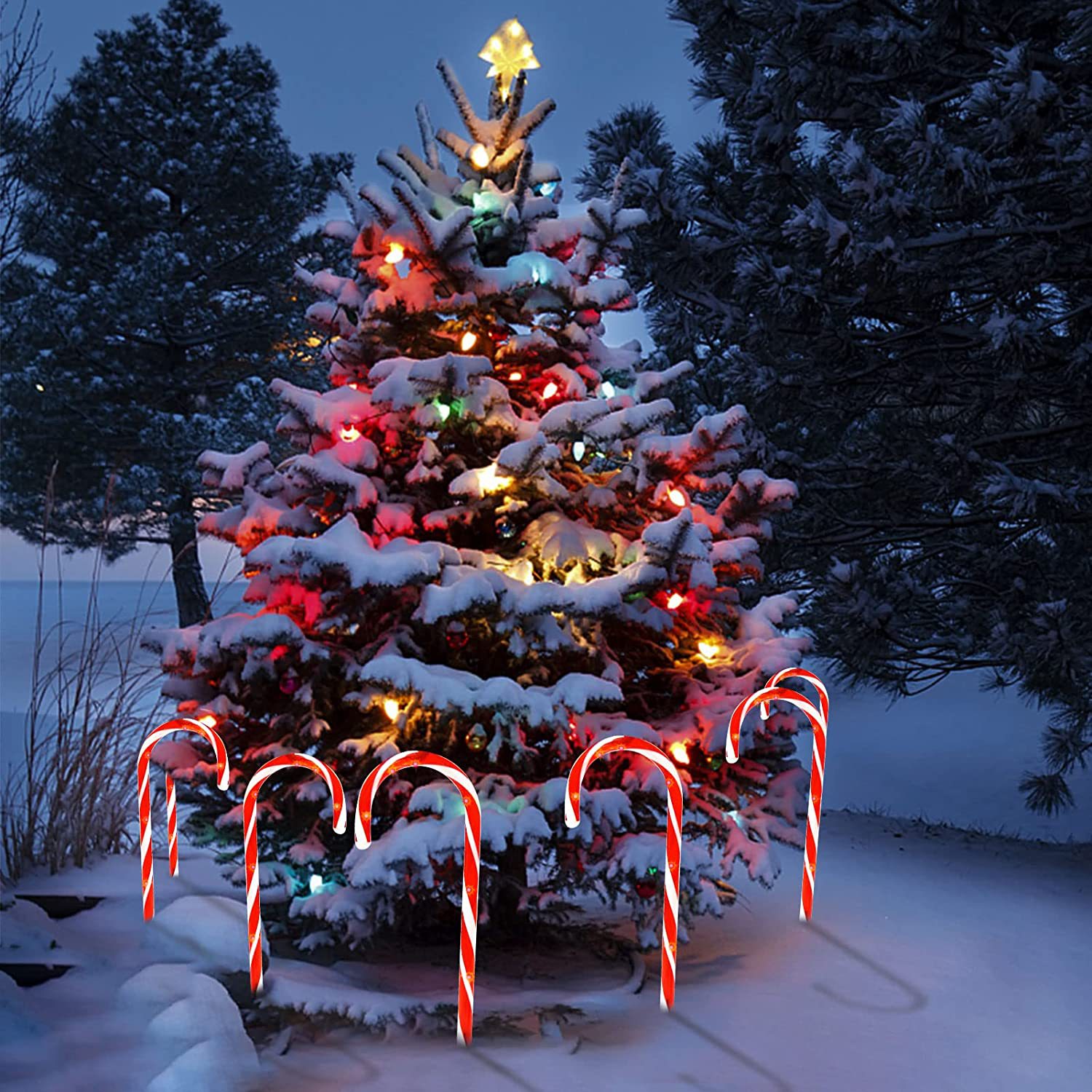 10 IP65 Christmas Candy Cane Pathway Lights XMS3100picture6