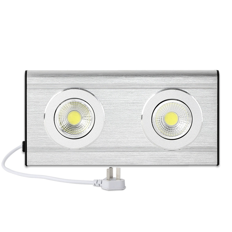 Aluminum 3W Twin Spot Heavy Duty Emergency Light LEXL250picture2