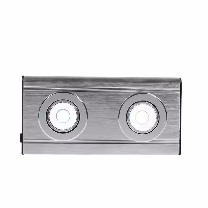 Aluminum 3W Twin Spot Heavy Duty Emergency Light LEXL250picture3