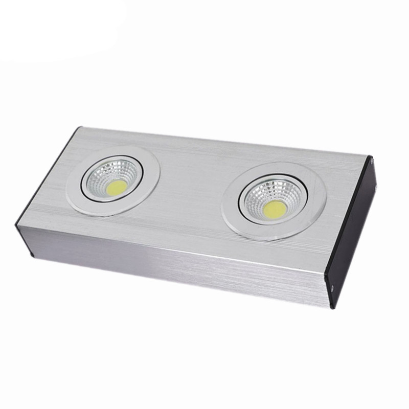 Aluminum 3W Twin Spot Heavy Duty Emergency Light LEXL250picture4