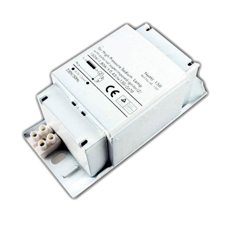 250 Watt Metal Halide Lamp Ballast 250w Mh Ballast 220-240V EA600picture2
