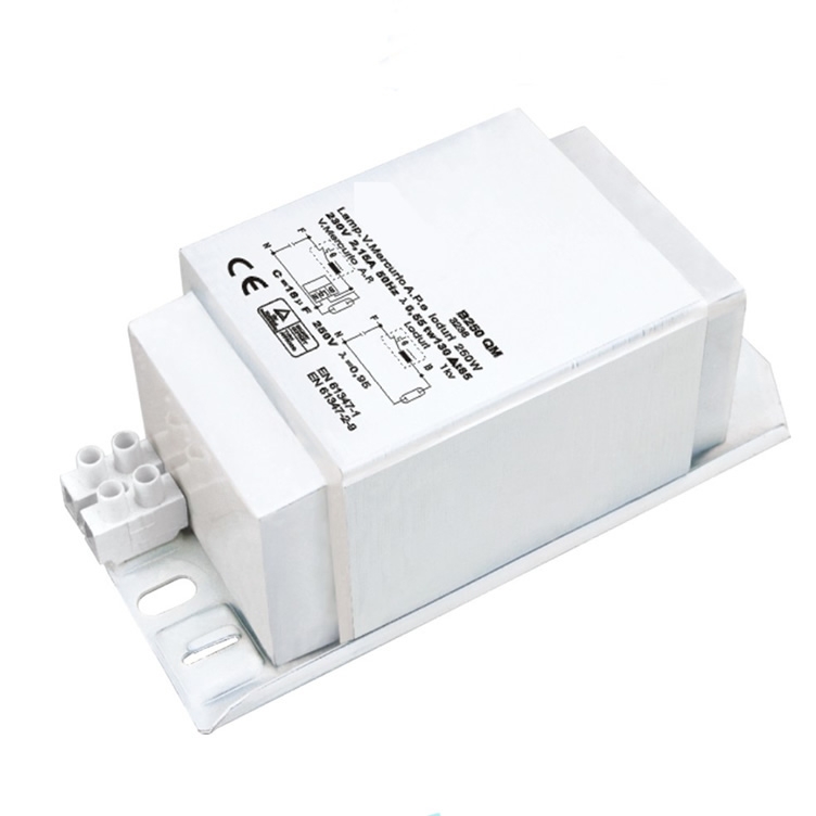 250 Watt Metal Halide Lamp Ballast 250w Mh Ballast 220-240V EA600picture4
