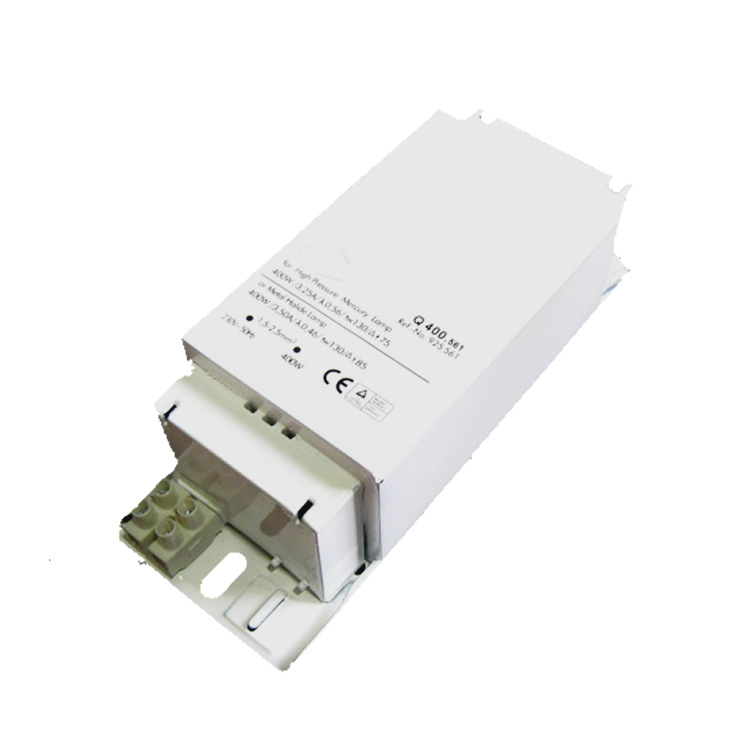 250 Watt Metal Halide Lamp Ballast 250w Mh Ballast 220-240V EA600picture6