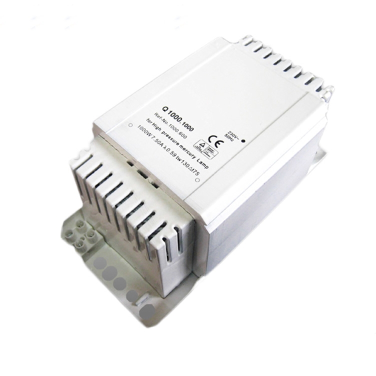 Cooper Wire ELT Type 400w Sodium HID Ballast for Hps Bulb 400 Watt EA800picture4