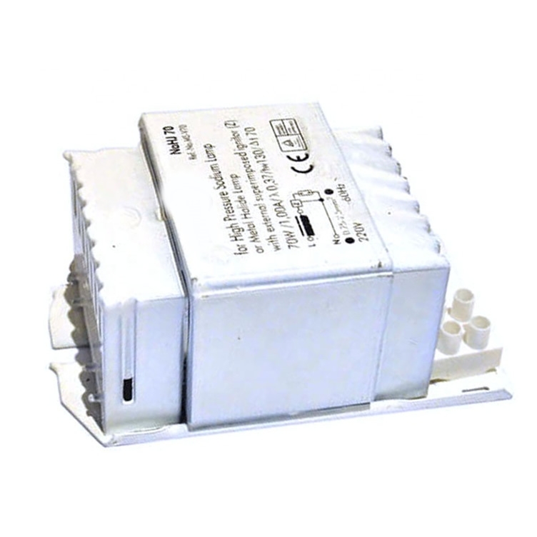 Cooper Wire 250w Hps Magnetic Ballast for Sodium Lamp and Metal Halide Lamp EA1100picture4
