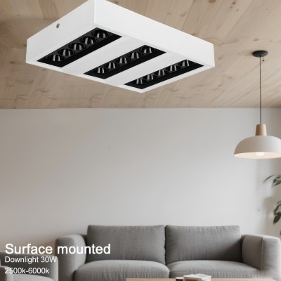 30W High Power Ceiling LED Downlight DL1890picture6