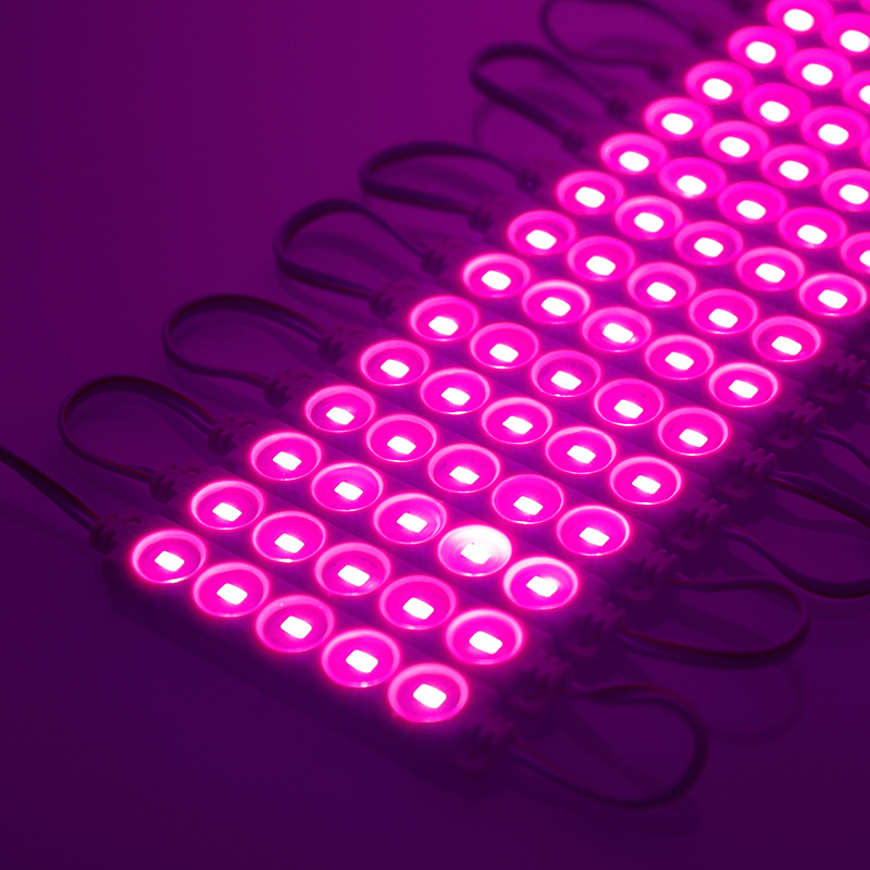 Pink LED Modules DC24V 1.2W 5Chip Full Color Light LED Modules MD380picture2